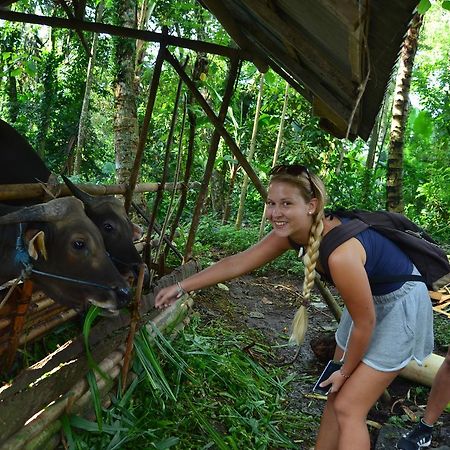 Beluran Serene Guesthouse Tabanan  Bagian luar foto