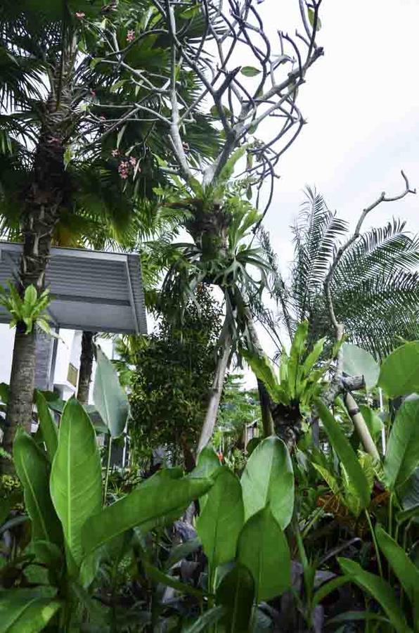 Beluran Serene Guesthouse Tabanan  Bagian luar foto