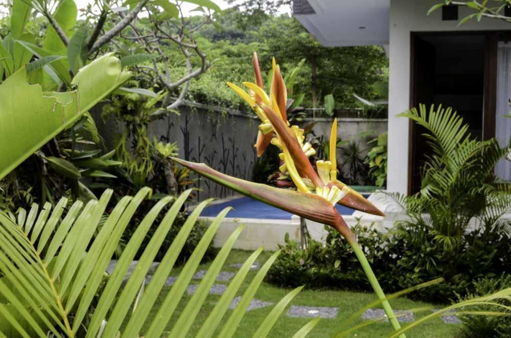 Beluran Serene Guesthouse Tabanan  Bagian luar foto