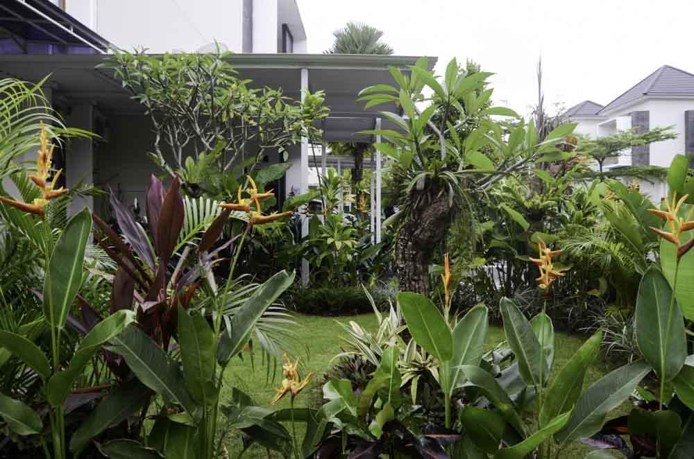 Beluran Serene Guesthouse Tabanan  Bagian luar foto