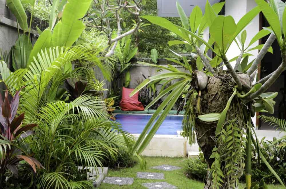 Beluran Serene Guesthouse Tabanan  Bagian luar foto