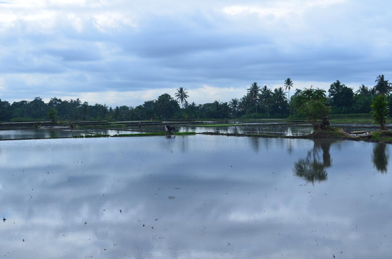 Beluran Serene Guesthouse Tabanan  Bagian luar foto